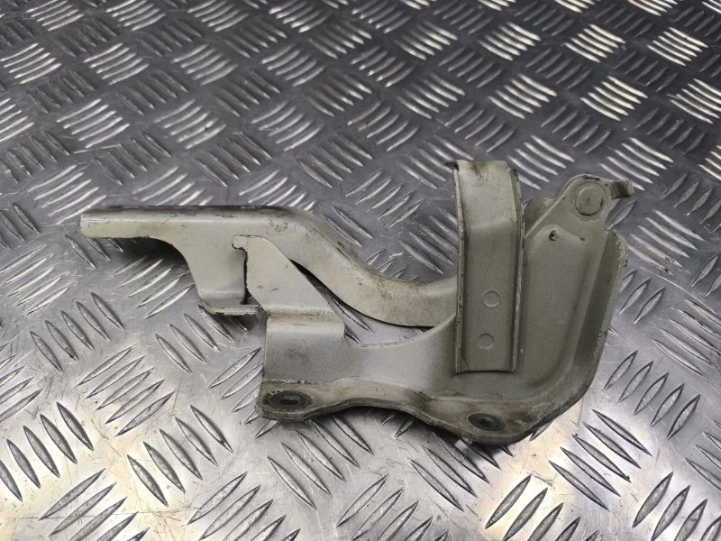 Петля капота Chevrolet Captiva 2011 8K0823301D C140 LE5, левая