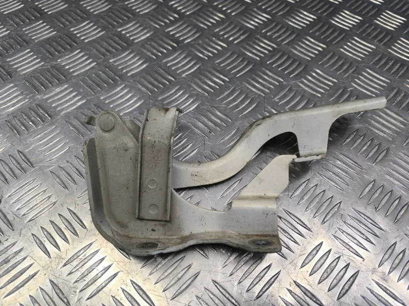 Петля капота Chevrolet Captiva 2011 8K0823302D C140 LE5, правая