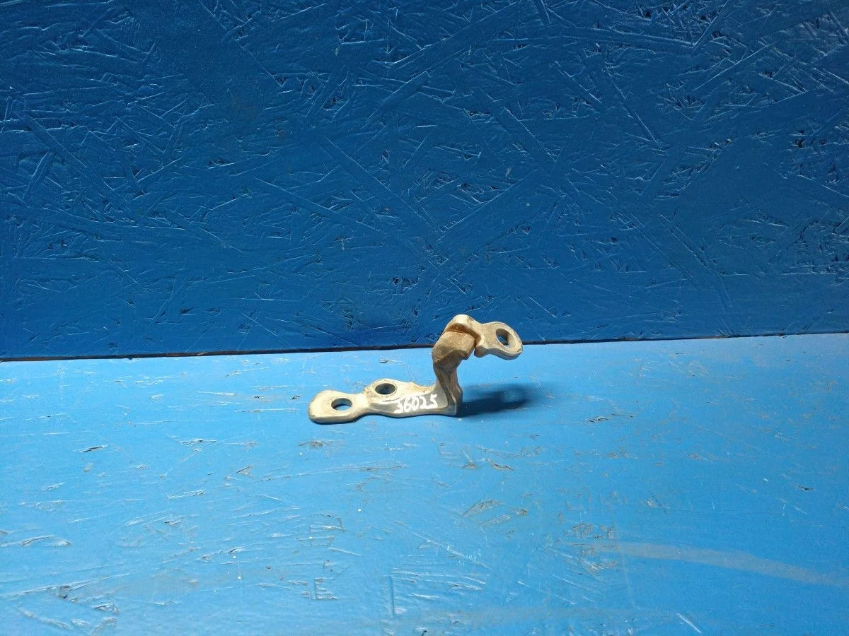 Петля двери передней левой нижняя Ford Focus II рестайлинг (2007—2011) X9FPXXEEDP8A47239 5012195 Лево Перед SHDB