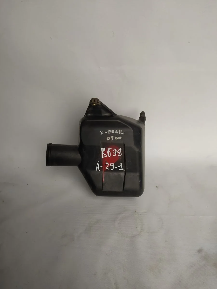 Резонатор воздушного фильтра Nissan X-Trail I (2000—2007) T30 165858H302   QR20DE