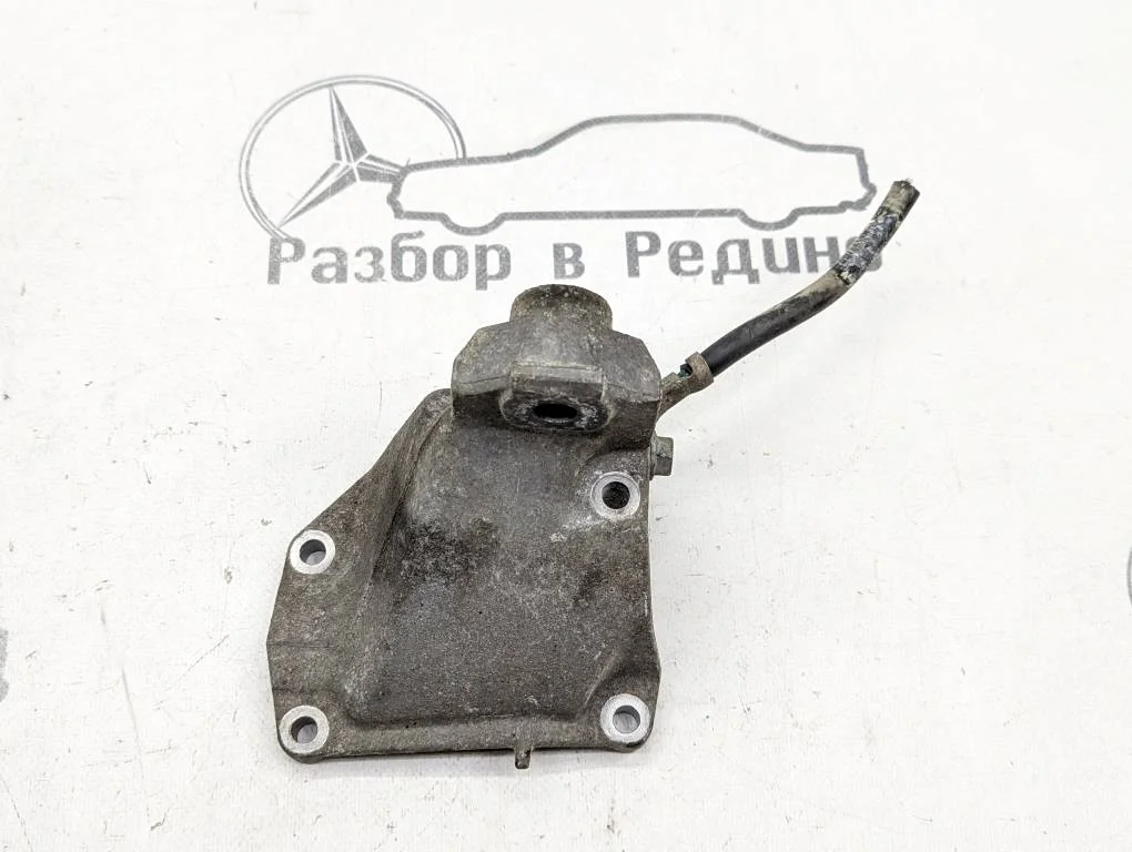 Лапа правая Mercedes-Benz