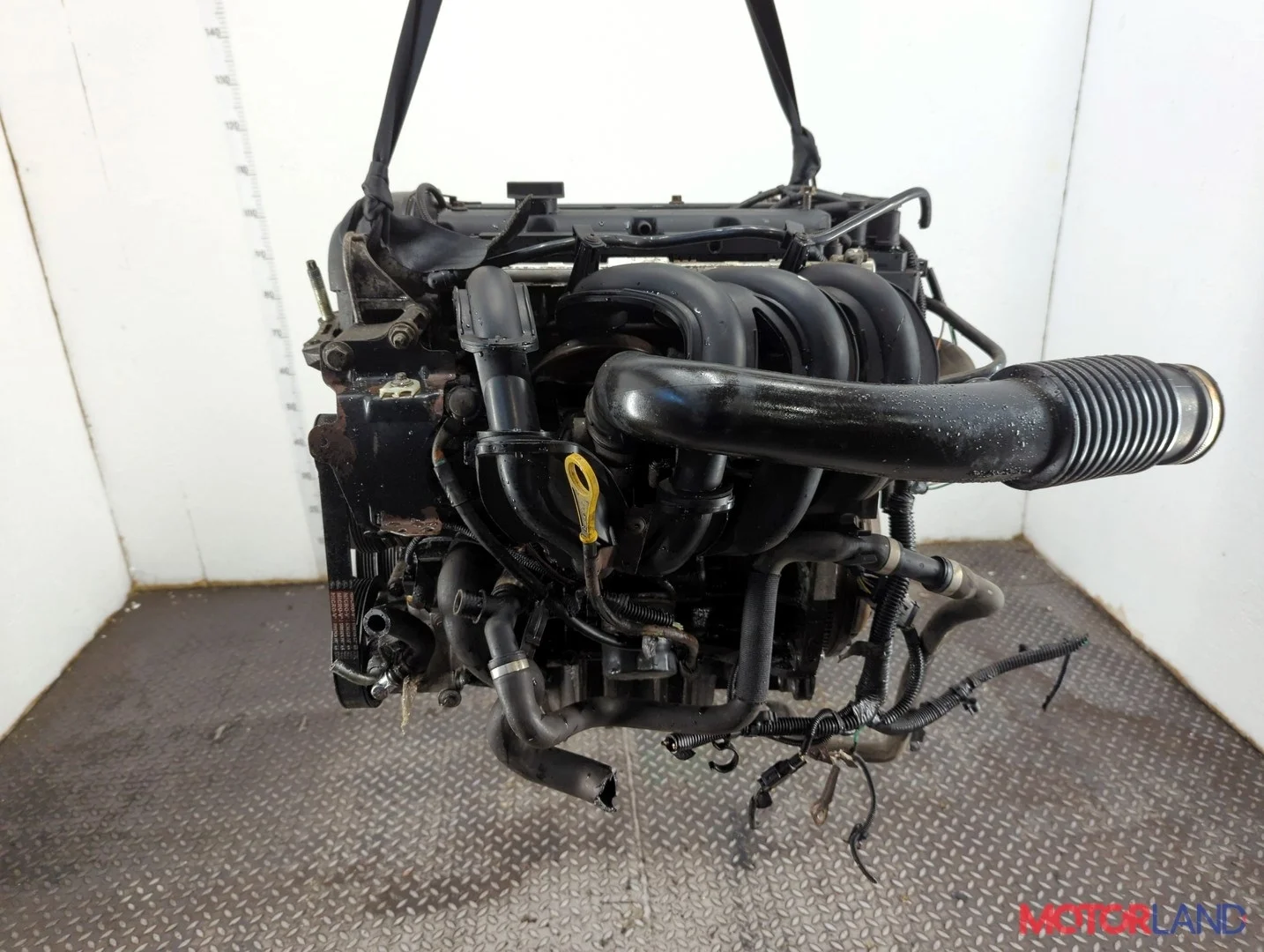 Двигатель (ДВС) Ford Focus 2 2005-2008 КПП 5-ст.мех.(МКПП) ASDA, ASDB Бензин 1.4 л Инжектор