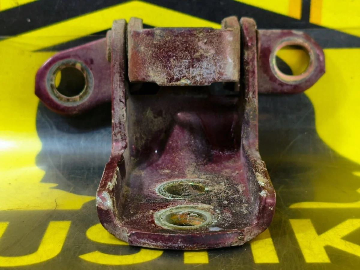 Петля двери задняя нижняя Nissan Murano 2005 824204P000 Z50 VQ35DE, правая