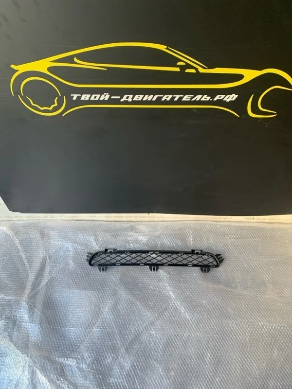 Решетка в бампер BMW X3 2013 F25