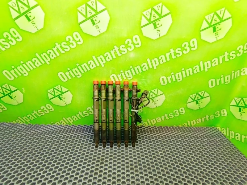 Форсунки Audi A6 2001 059130201G C5 AVANT BDH 2.5TDI