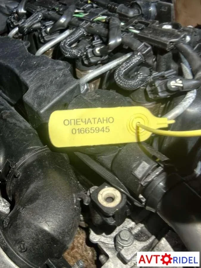 Двигатель G8DA Ford Focus 2 1.6 Дизель