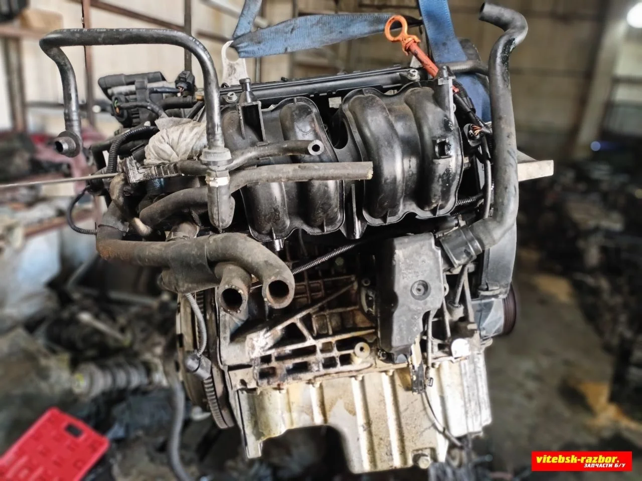 Двигатель AUA Volkswagen Golf 4 1.4 Бензин