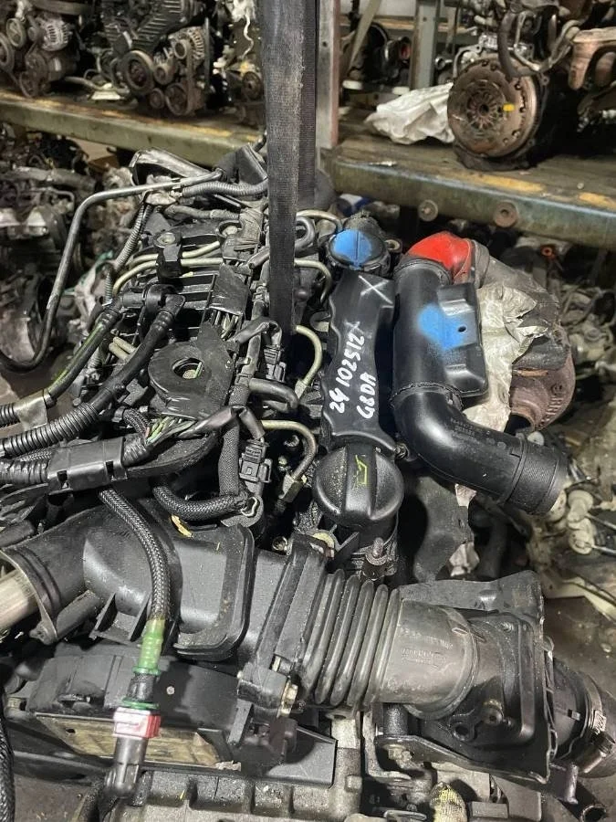 Двигатель G8DA Ford Focus 2 1.6 Дизель