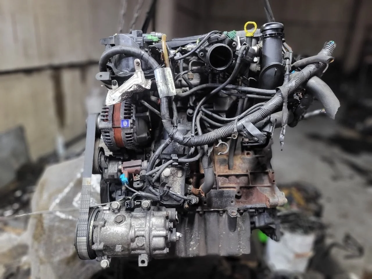 Двигатель G6DA Ford Focus 2 2.0 Дизель