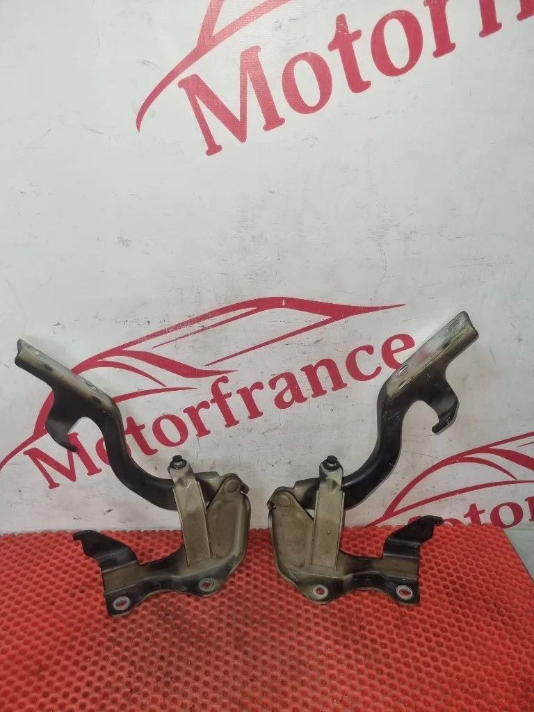 Петля капота Chevrolet Captiva C140