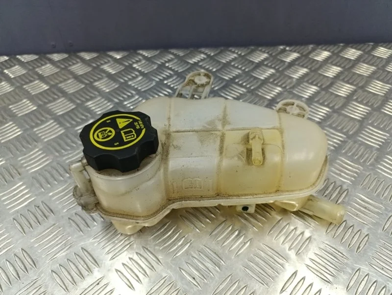 Бачок расширительный Chevrolet Aveo 2014 95048411 T300 F16D4