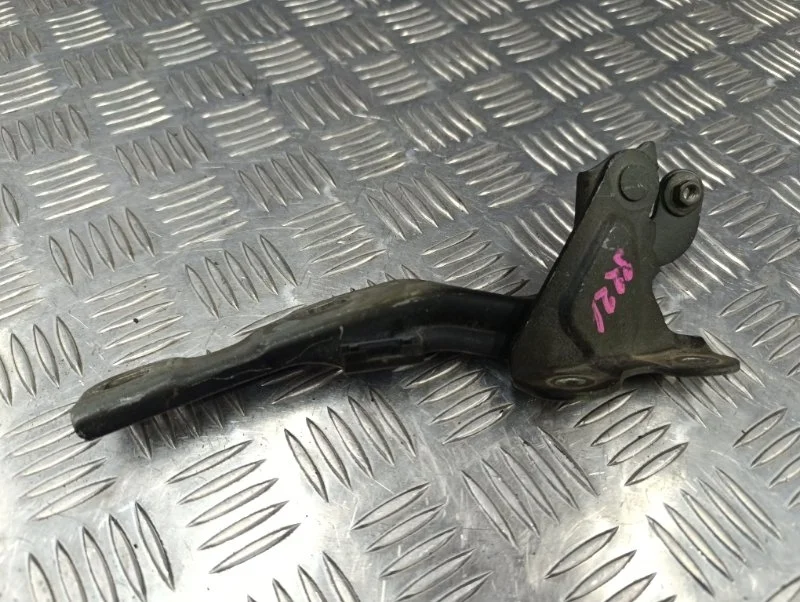 Петля капота Chevrolet Aveo 2014 95292251 T300 F16D4, левая