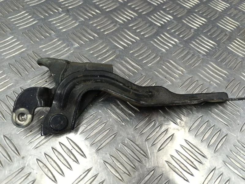 Петля капота Chevrolet Aveo 2014 95462342 T300 F16D4, правая