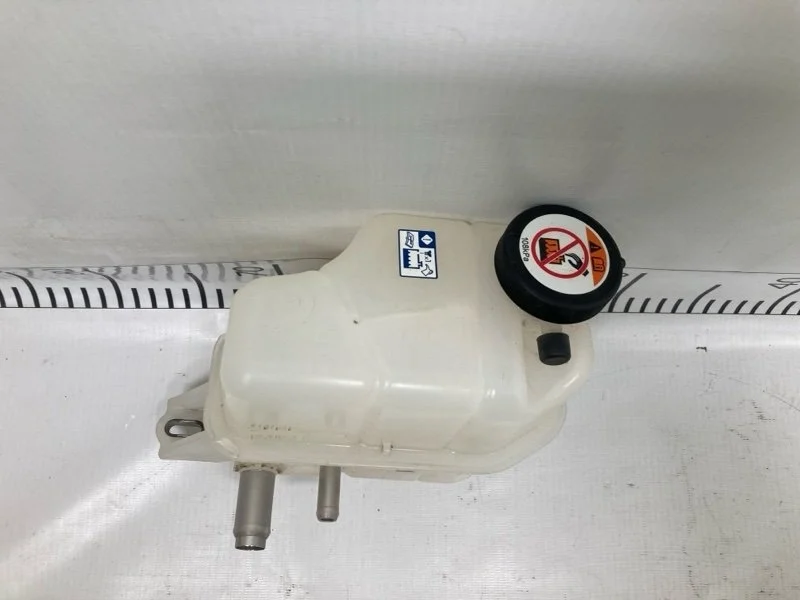 Бачок расширительный LEXUS RX300 2022 1664036020 AGL25 8AR-FTS 2.0