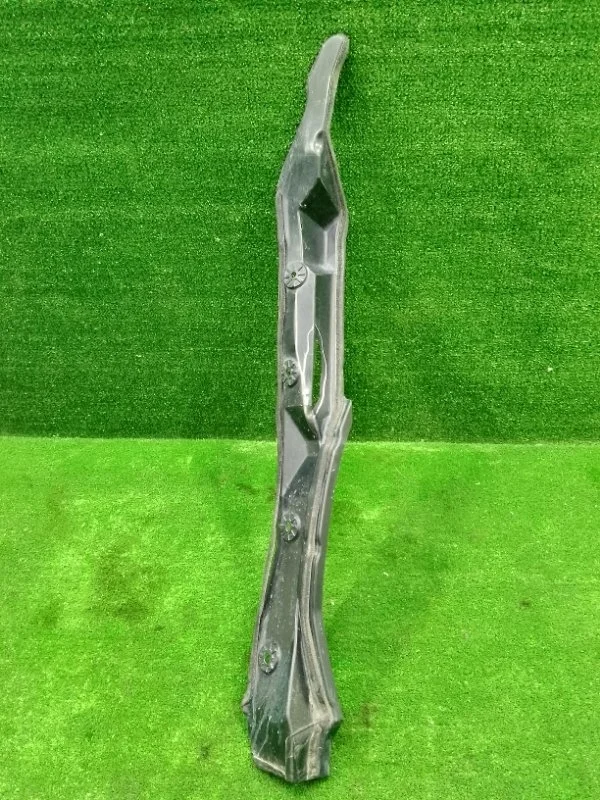 Пыльник крыла Lexus RX III (2008—2012)