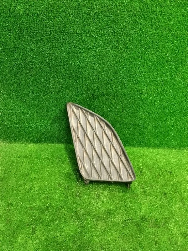 Заглушка ПТФ Toyota Corolla IX (2000—2004)