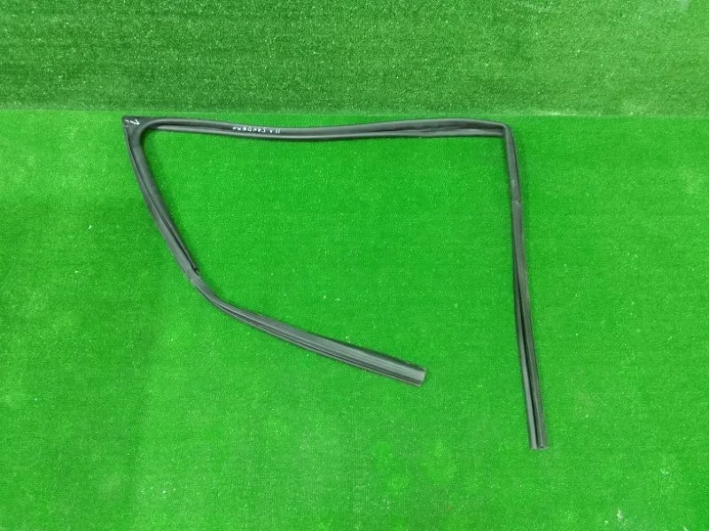 Уплотнитель стекла двери Renault Sandero Stepway II рестайлинг (2018—2022)