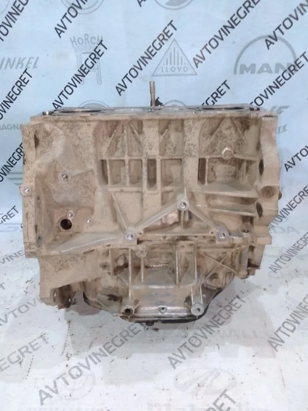 Блок двигателя Nissan Qashqai I (2006—2010)