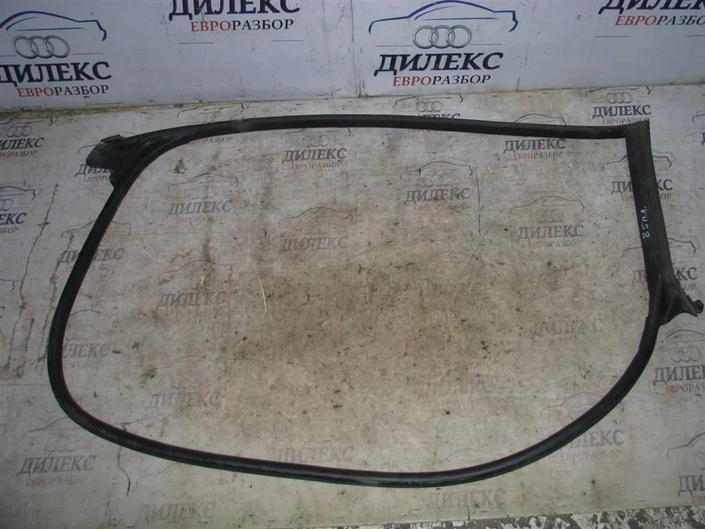 уплотнитель двери Audi A5 /S5 Coupe/Sportback - F