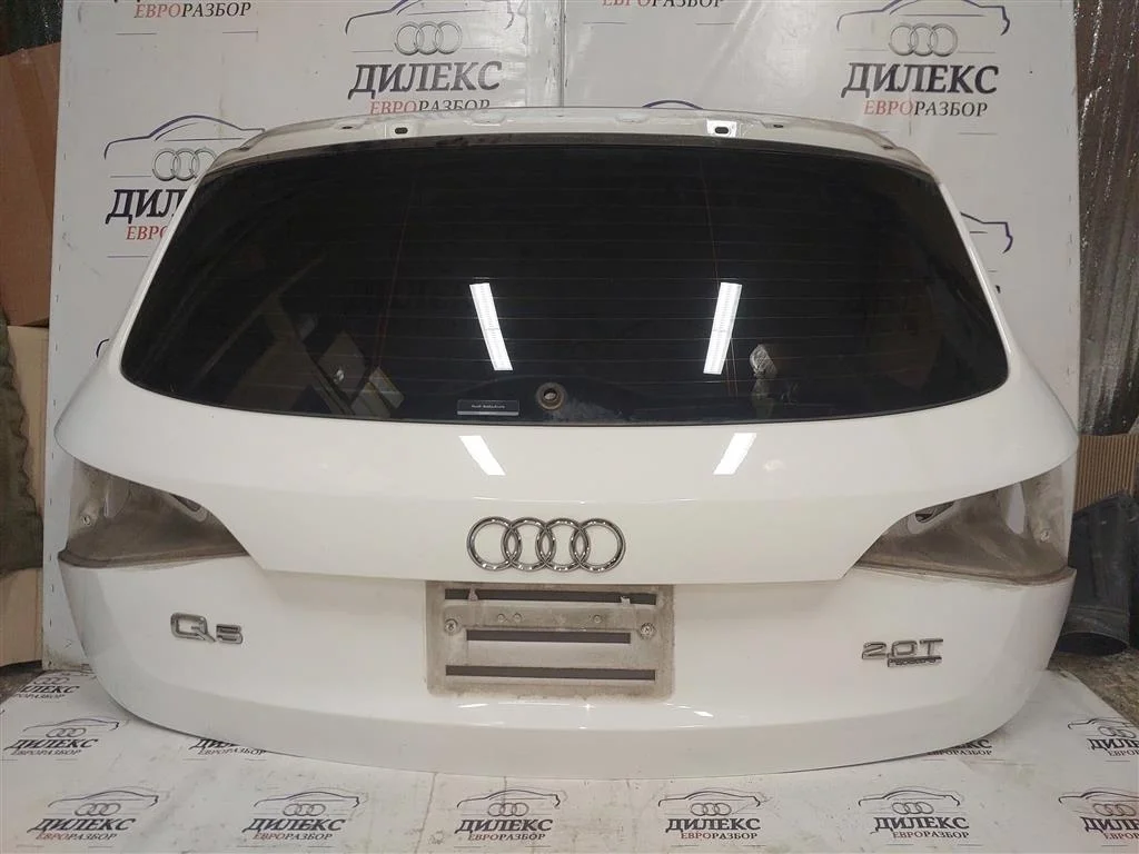 дверь багажника Audi Q5 - -