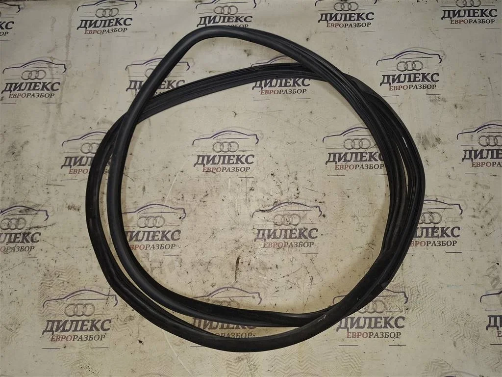 уплотнитель двери BMW X5 E70 2007-2013 - R