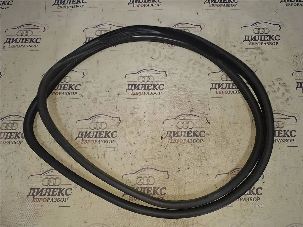 уплотнитель двери BMW X5 E70 2007-2013 - F