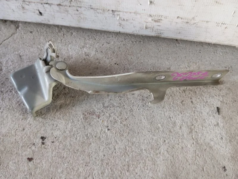 Петля капота Suzuki Grand Vitara 5742065J01 JT, левая
