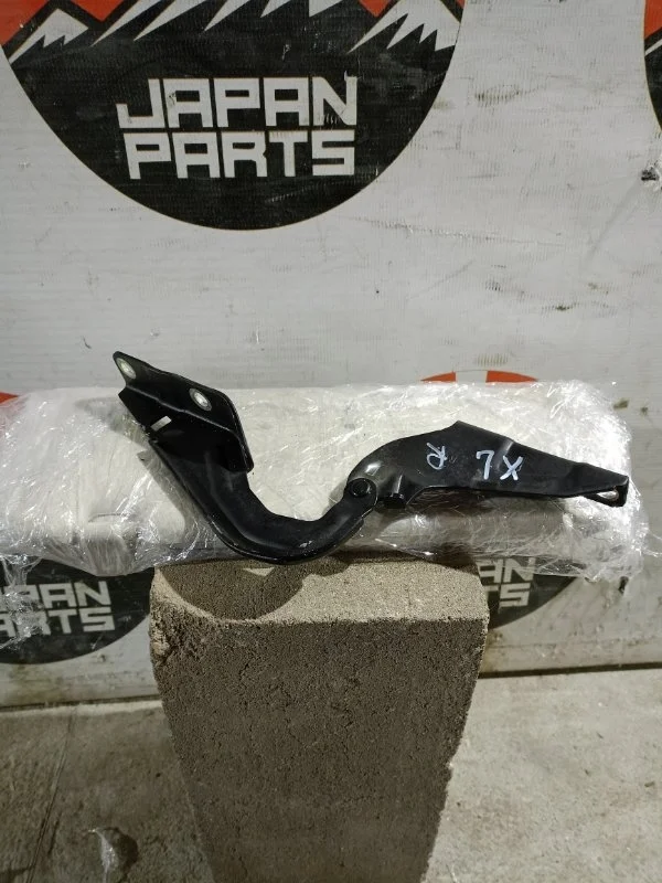 Петля капота Mitsubishi Outlander MN175242 XL, правая