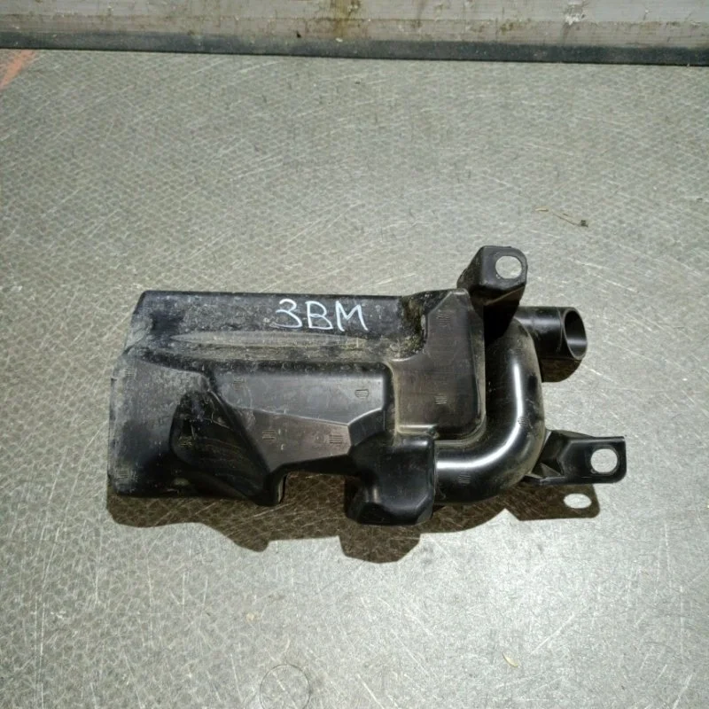 Резонатор воздушного фильтра Mazda 3 PE0113195A BM