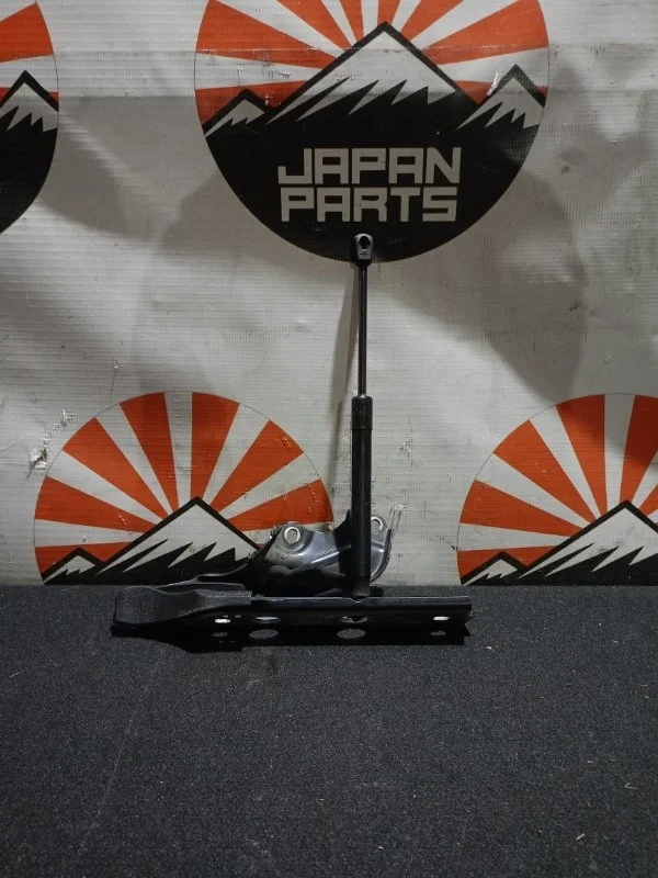 Петля капота Audi A6 4G8823302E C7, правая