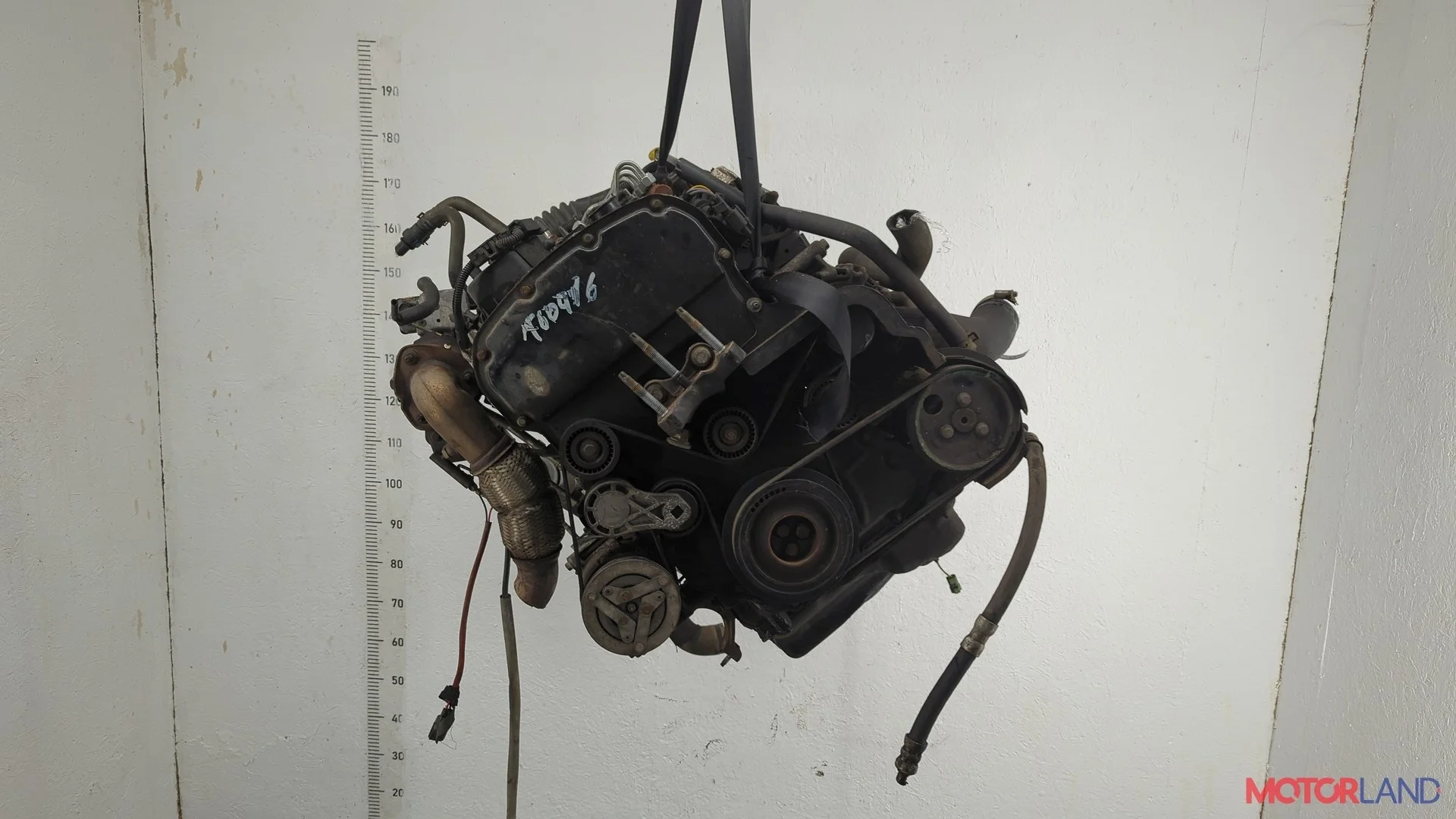 Двигатель (ДВС) Ford Transit (Tourneo) Custom 2012-2025 КПП 6-ст.мех.(МКПП) CYF4, CYFF Дизель 2.2 л TDCI