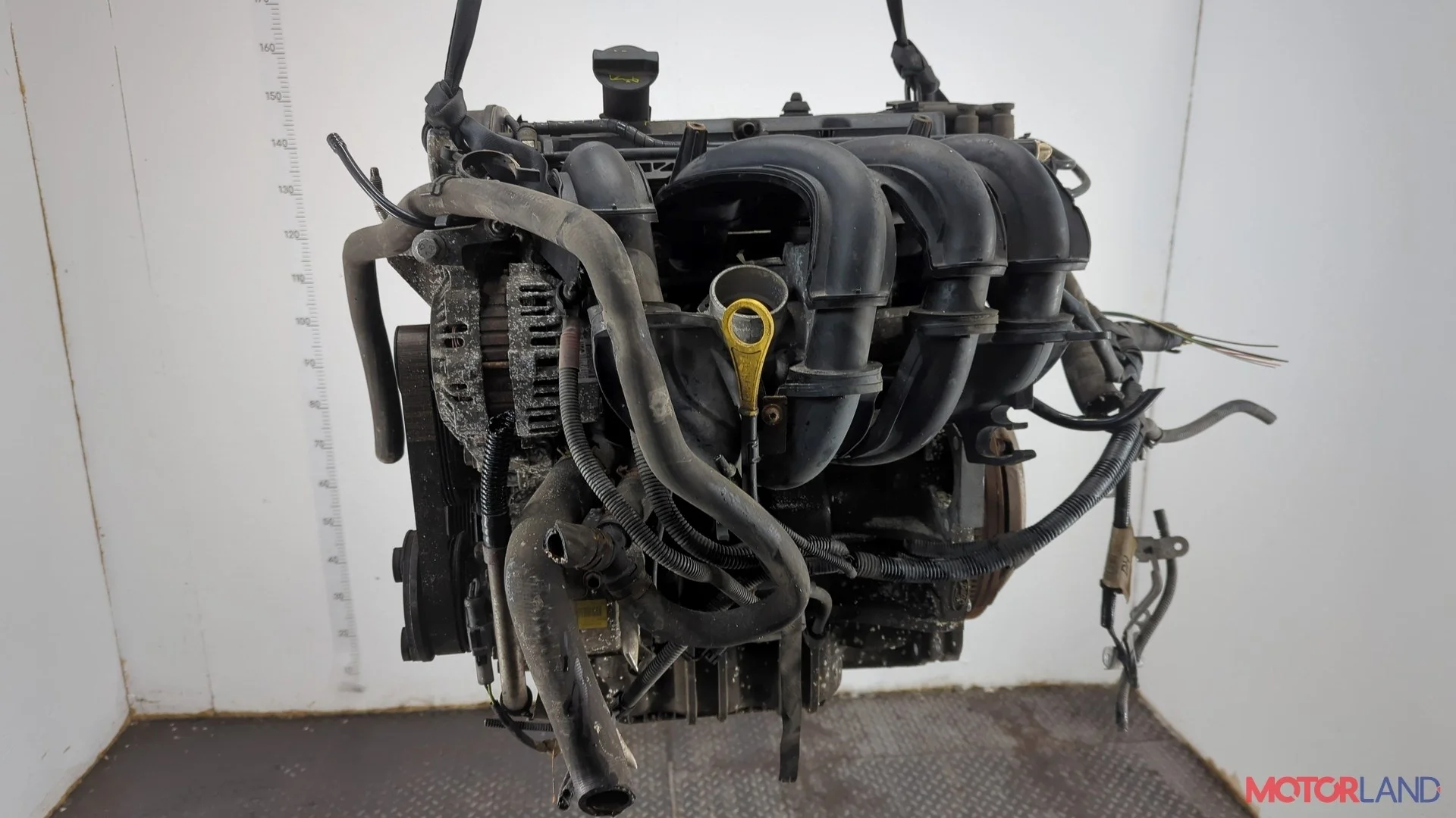 Двигатель (ДВС) Ford Fusion 2002-2012 КПП 5-ст.мех.(МКПП) FYJA, FYJB, FYJC Бензин 1.6 л Инжектор