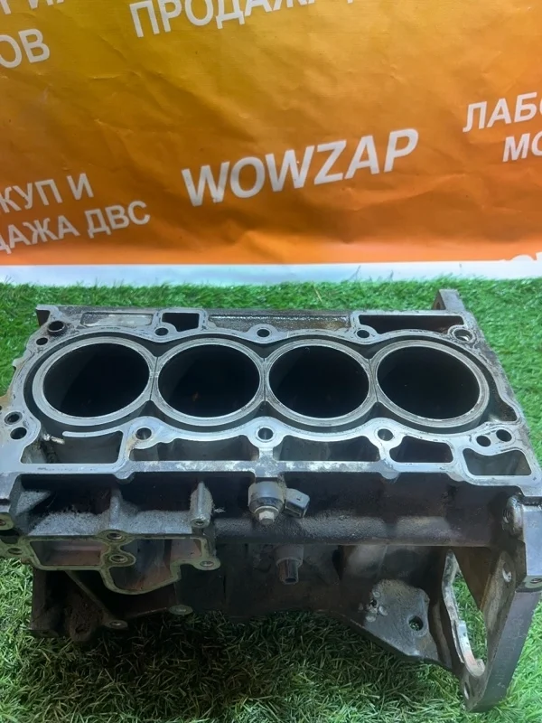 Блок цилиндров Nissan Qashqai 2005 - 2020 11000EN205 MR20DE