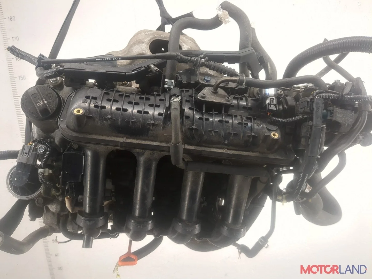 Двигатель (ДВС) Honda Jazz 2001-2008 КПП вариатор L13A1 Бензин 1.3 л Инжектор