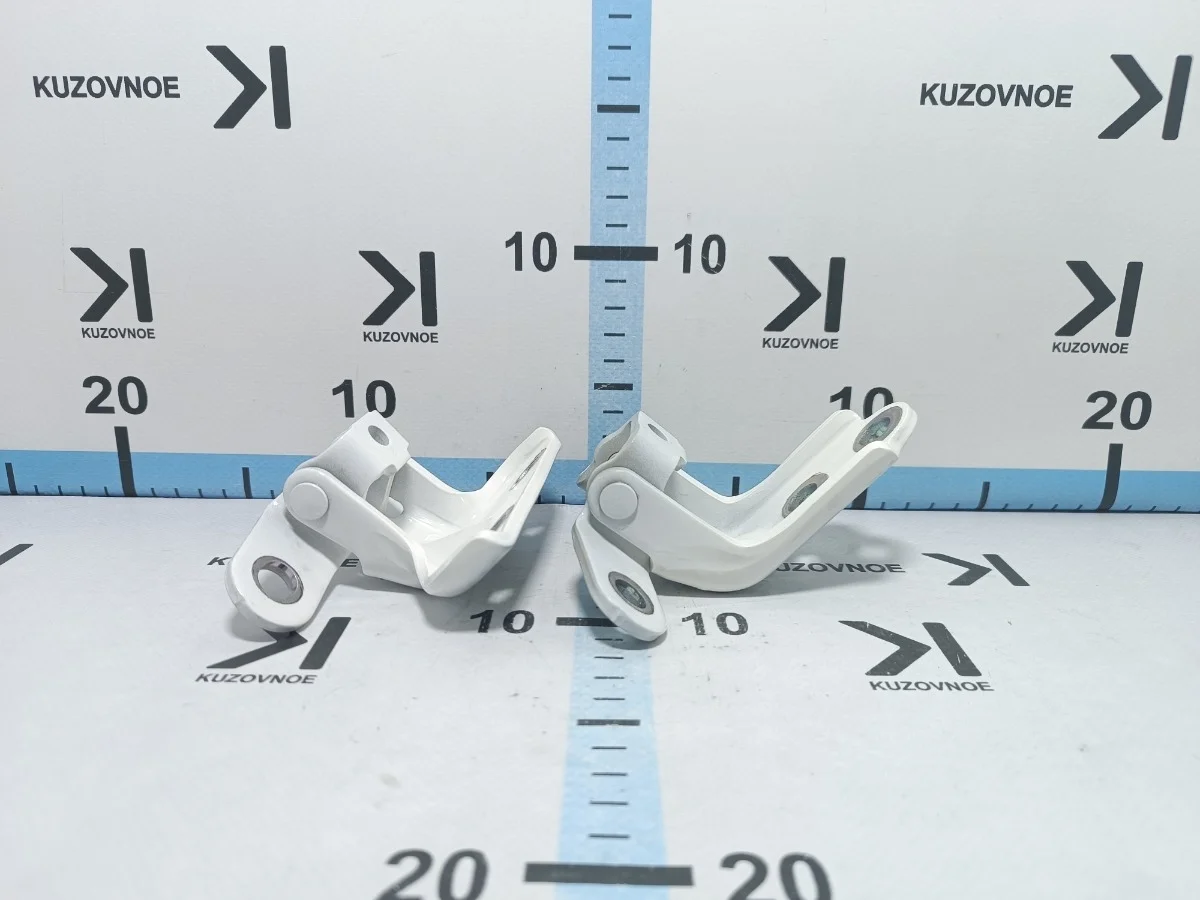 Петля двери Kia Soul 2019 SK3