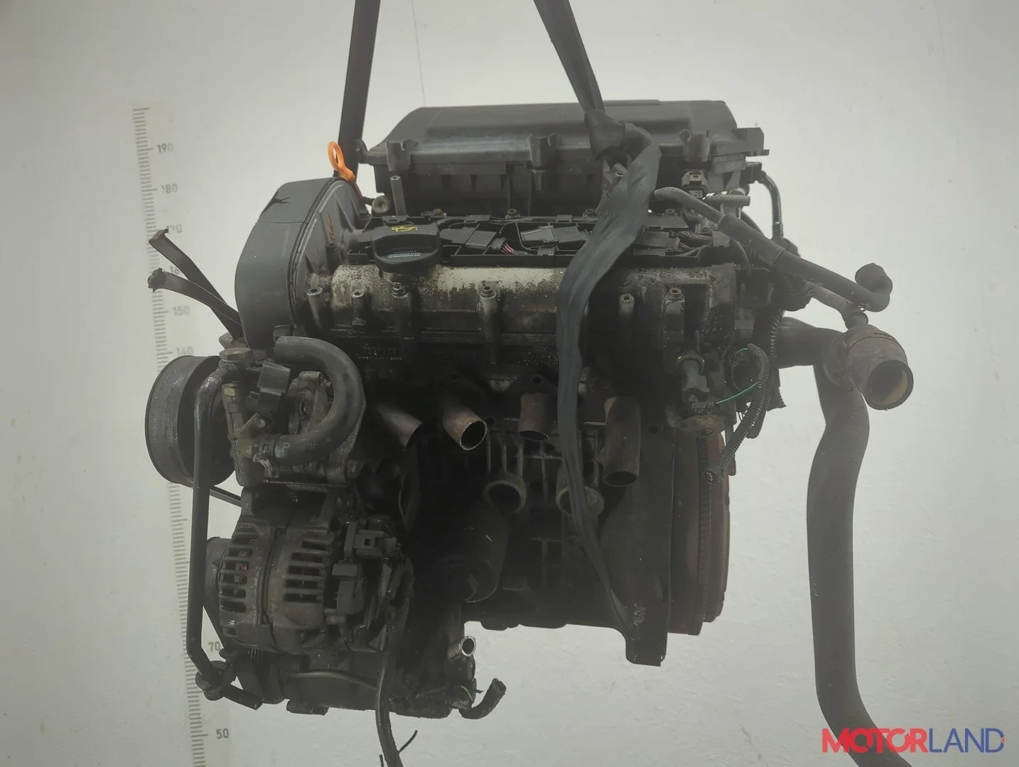 Двигатель (ДВС) Volkswagen Golf 4 1997-2006 КПП 5-ст.мех.(МКПП) BCA Бензин 1.4 л