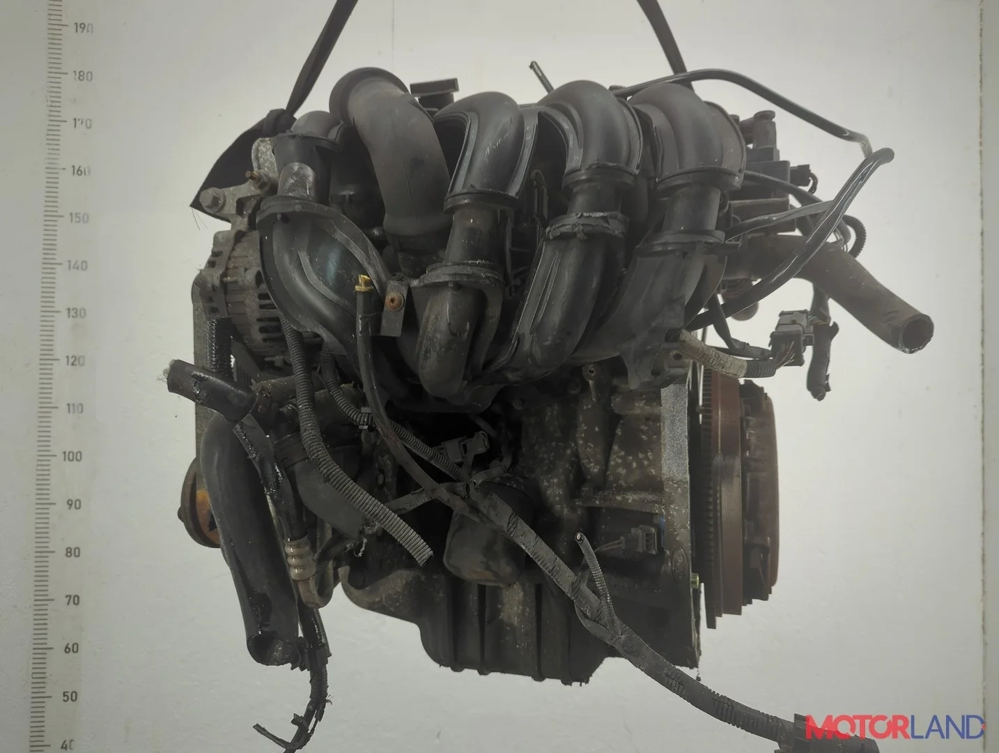 Двигатель (ДВС) Ford Fusion 2002-2012 КПП 5-ст.мех.(МКПП) FXJA, FXJB, FXJC Бензин 1.4 л Инжектор