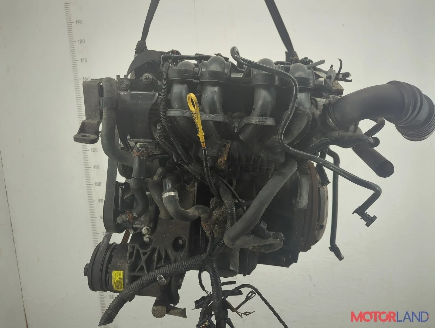 Двигатель (ДВС) Ford Focus 2 2005-2008 КПП 5-ст.мех.(МКПП) HXDA, HXDB Бензин 1.6 л Ti-VCT
