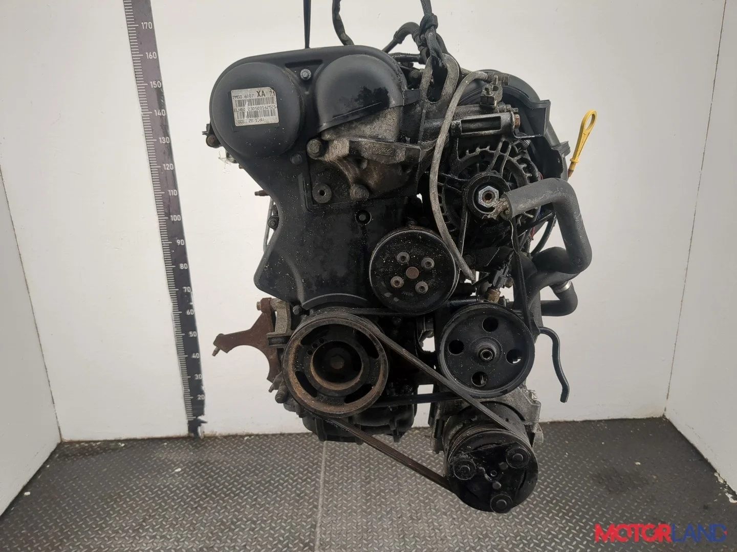 Двигатель (ДВС) Ford Focus 2 2008-2011 КПП 5-ст.мех.(МКПП) SHDA, SHDC Бензин 1.6 л Инжектор