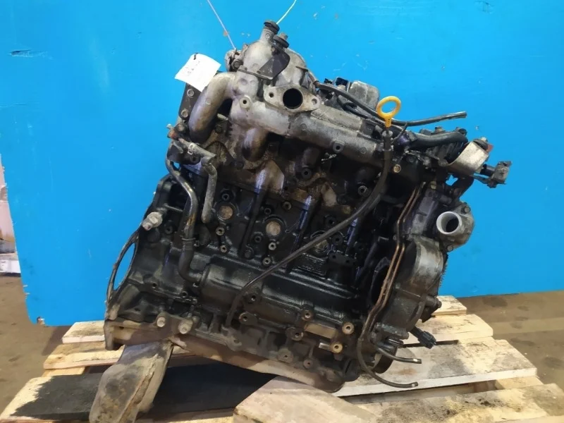 Двигатель Nissan Terrano, Elgrand 2000-2006