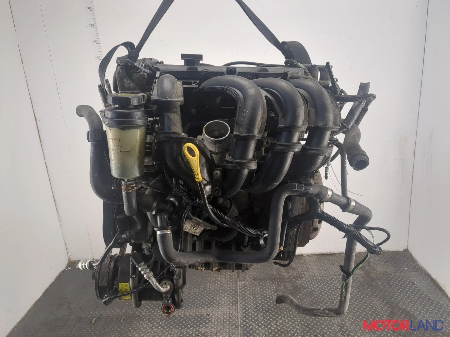 Двигатель (ДВС) Ford Focus 2 2008-2011 КПП 5-ст.мех.(МКПП) SHDA, SHDC Бензин 1.6 л Инжектор