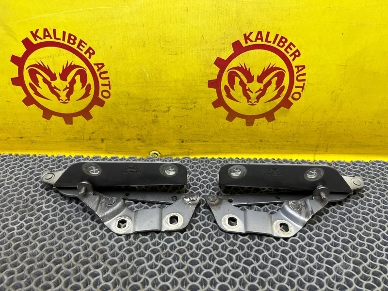 Петля капота LAND ROVER Freelander 2 2007 LR001562 2.2 EFI TC DW12