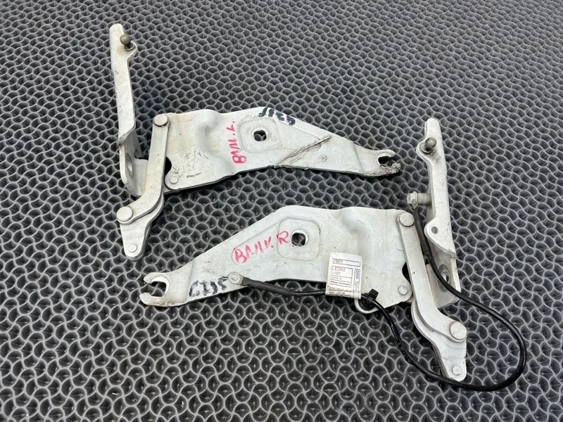 Петля капота BMW X6 2010 41007198618 E71