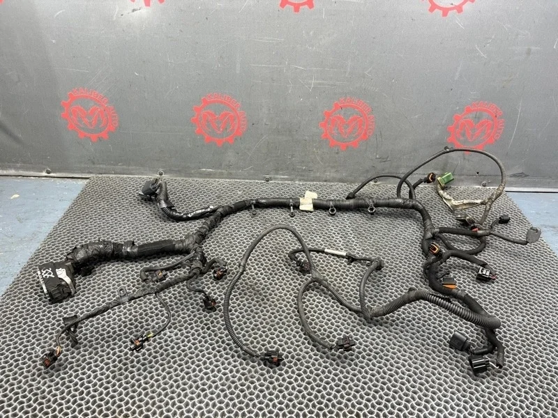 Проводка двигателя Chrysler Voyager 5/Grand Caravan 2010 4869599AJ 5 2.8 ENS 163 Л.С 2A4RT6D59AR375331