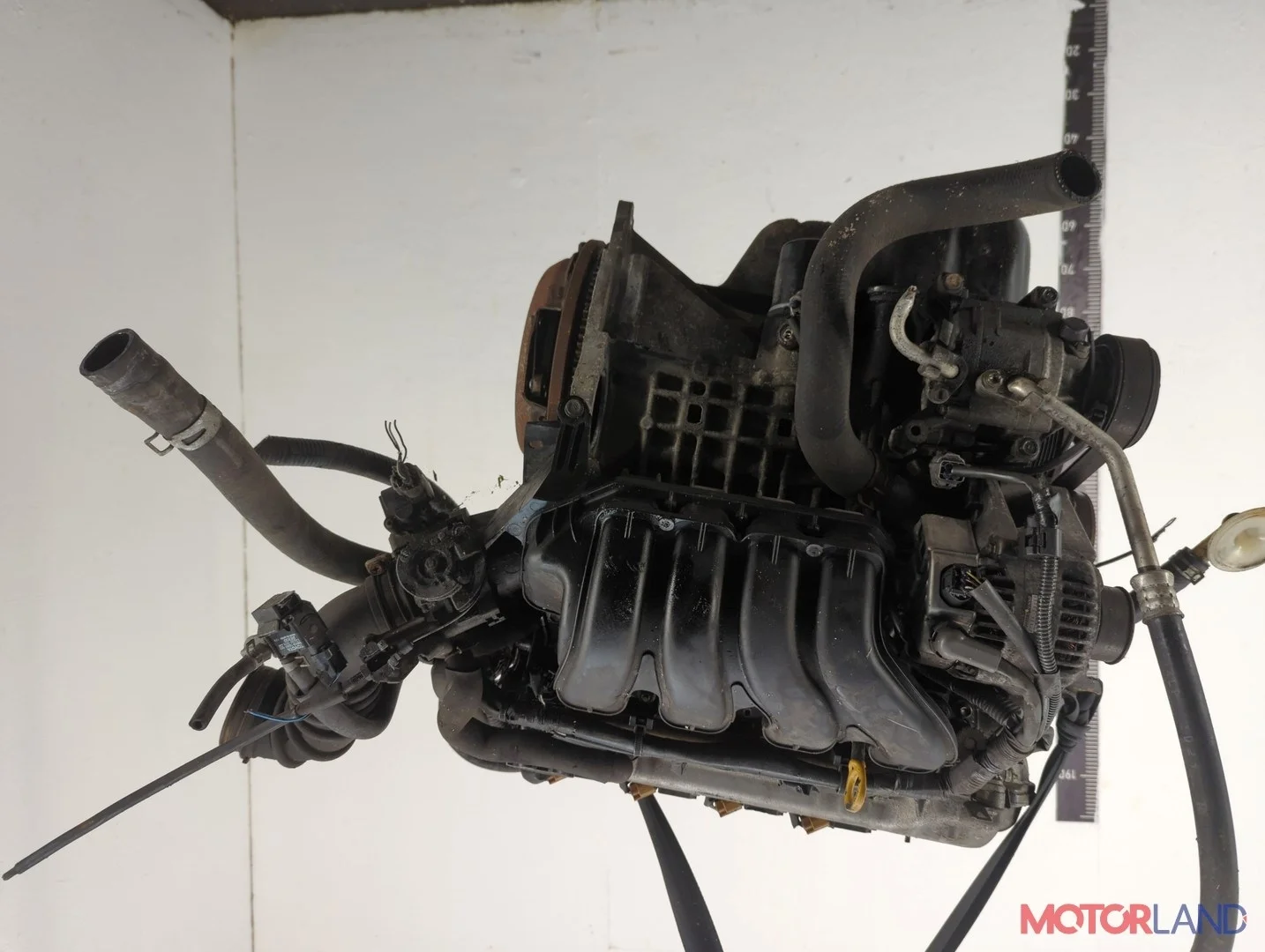 Двигатель (ДВС) Toyota Corolla Verso 2002-2004 КПП 5-ст.мех.(МКПП) 3ZZFE Бензин 1.6 л Инжектор