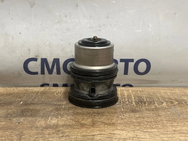 Термостат Porsche Cayenne 94810603401 3.6 CURA