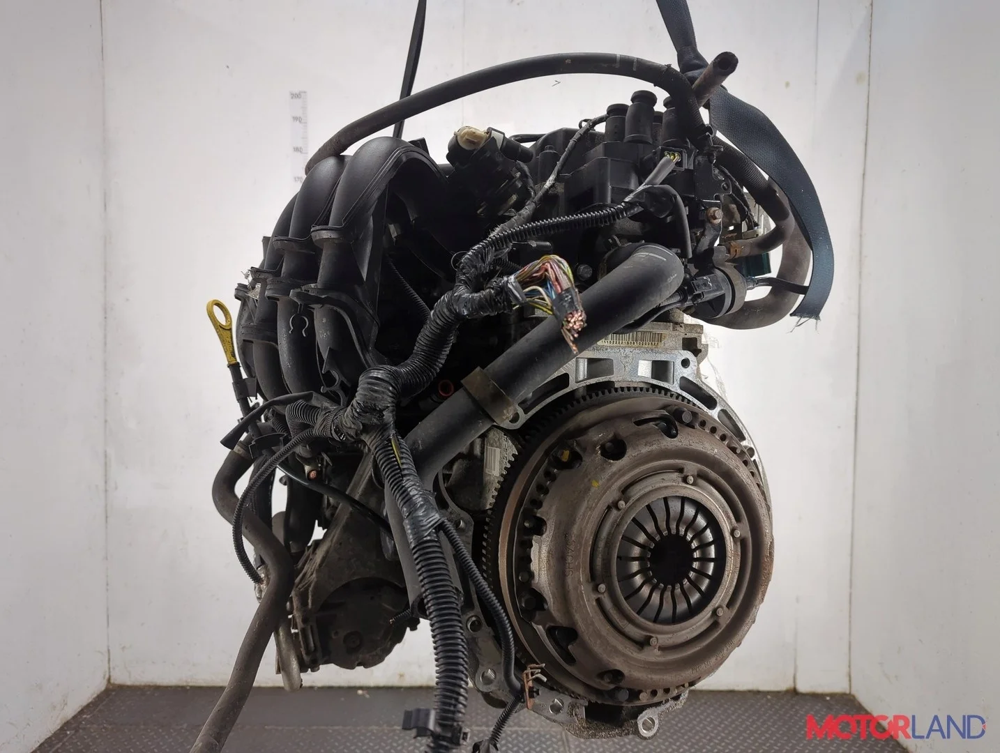 Двигатель (ДВС) Ford Focus 2 2008-2011 КПП 5-ст.мех.(МКПП) SHDA, SHDC Бензин 1.6 л Инжектор