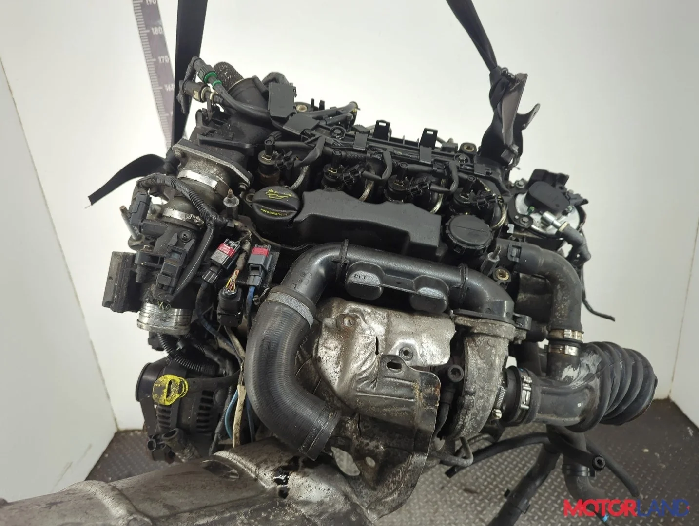 Двигатель (ДВС) Ford Focus 2 2008-2011 КПП 5-ст.мех.(МКПП) G8DA, G8DB, G8DC, G8DD, G8DE, G8DF Дизель 1.6 л TDCI