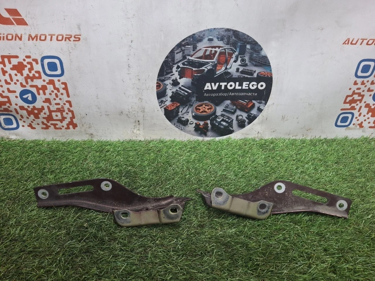Петли капота Honda Pilot 2012 60170SZAA00ZZ YF4 J35Z4