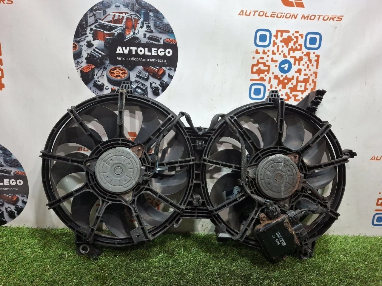 Вентилятор охлаждения радиатора Infiniti EX35 2010 J50